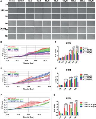 Combined Scutellarin and C18H17NO6 Imperils the Survival of Glioma: Partly Associated With the Repression of PSEN1/PI3K-AKT Signaling Axis